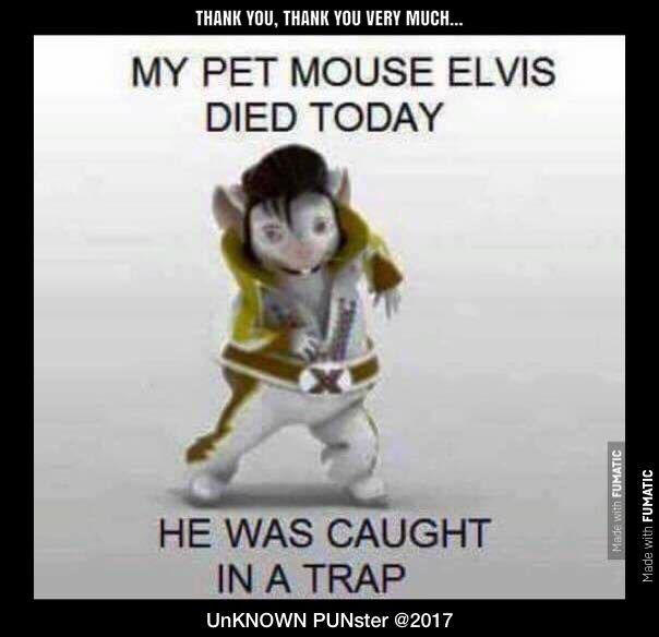 Captioned text reads: My pet mouse Elvis died today. He was caught in a trap...